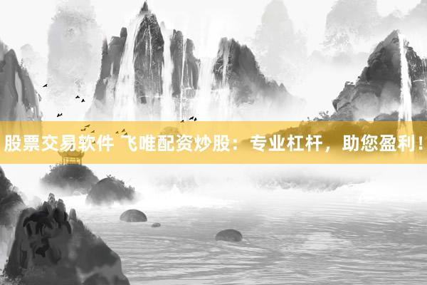 股票交易软件 飞唯配资炒股：专业杠杆，助您盈利！