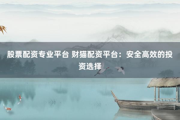 股票配资专业平台 财猫配资平台：安全高效的投资选择