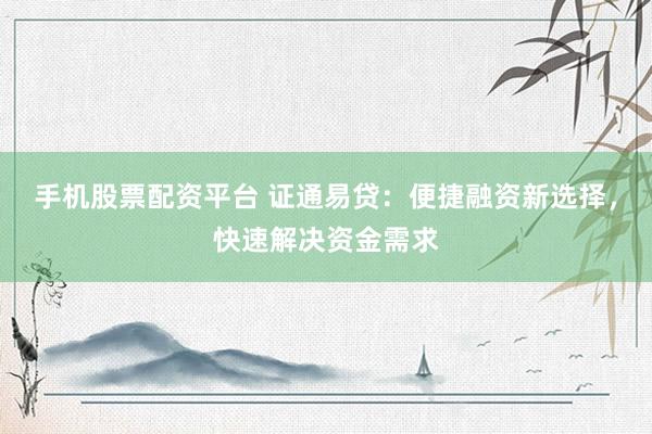 手机股票配资平台 证通易贷：便捷融资新选择，快速解决资金需求