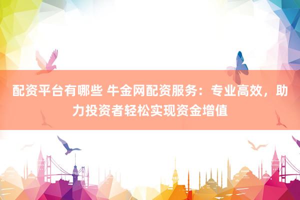 配资平台有哪些 牛金网配资服务：专业高效，助力投资者轻松实现资金增值