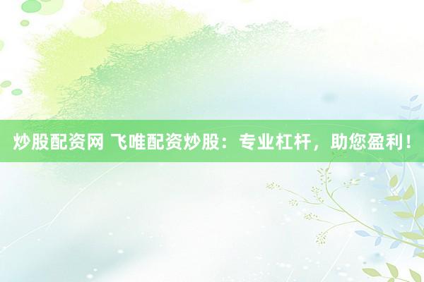 炒股配资网 飞唯配资炒股：专业杠杆，助您盈利！