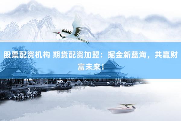 股票配资机构 期货配资加盟：掘金新蓝海，共赢财富未来！