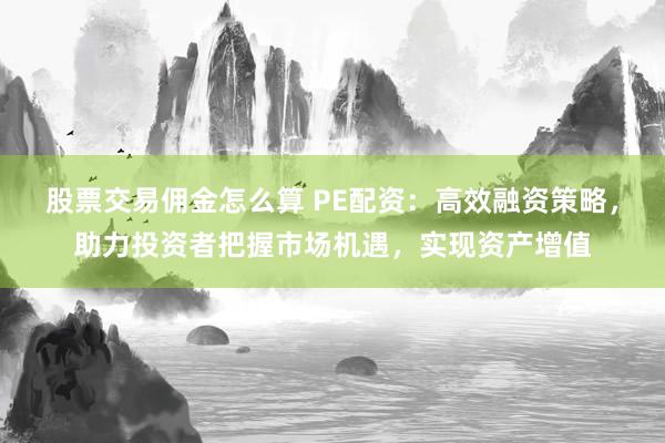 股票交易佣金怎么算 PE配资:高效融资策略,助力投资者把握市场机遇,实现资产增值
