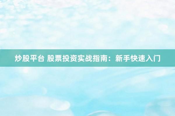 炒股平台 股票投资实战指南：新手快速入门