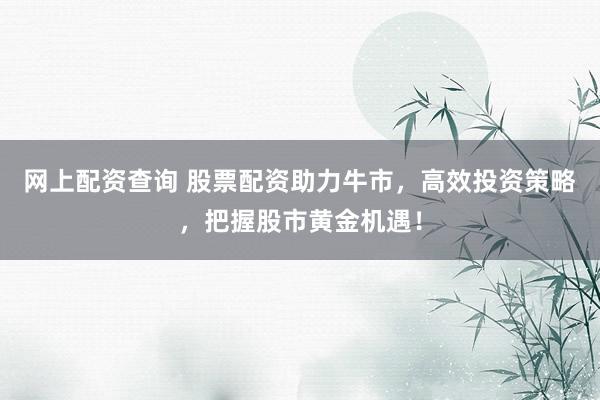网上配资查询 股票配资助力牛市，高效投资策略，把握股市黄金机遇！