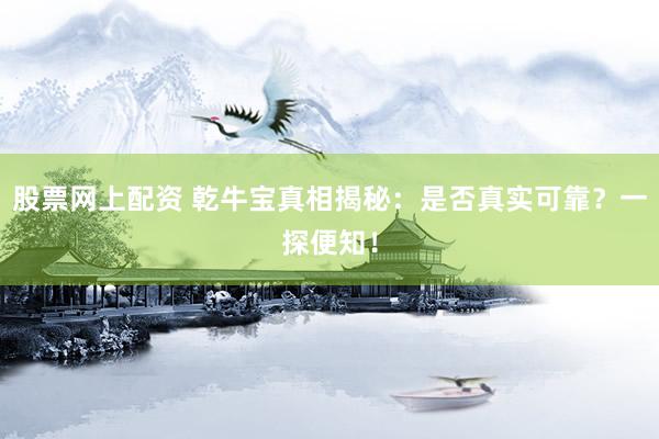 股票网上配资 乾牛宝真相揭秘:是否真实可靠?一探便知!