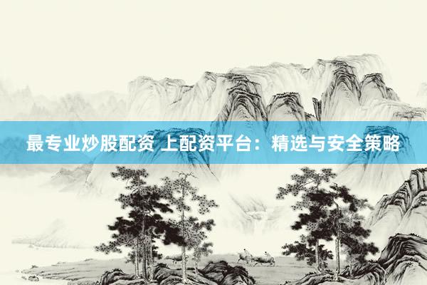 最专业炒股配资 上配资平台：精选与安全策略