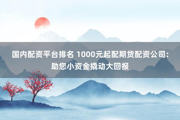 国内配资平台排名 1000元起配期货配资公司：助您小资金撬动大回报